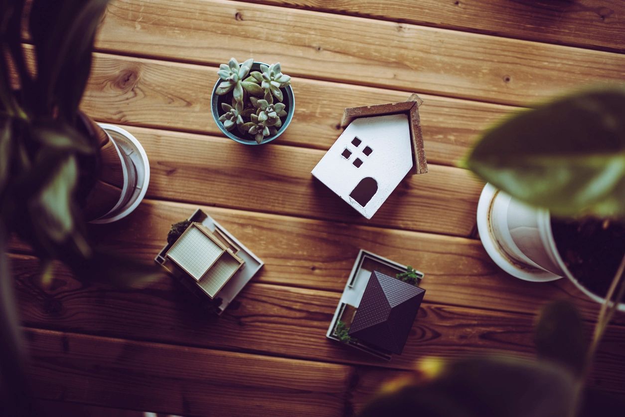 Miniature houses and plants representing independent living for self-advocates