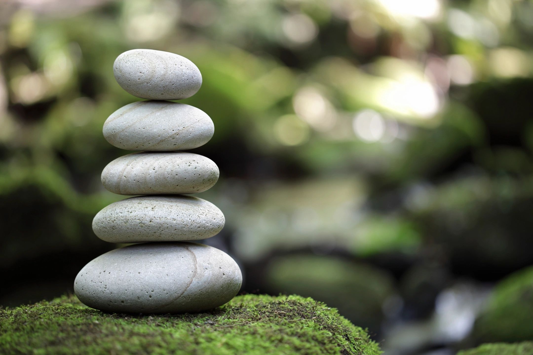 Five gray stones are stacked atop a larger, moss-covered rock. The image suggests calm and balance for a blog post about spotting signs of substance use in people with IDD.