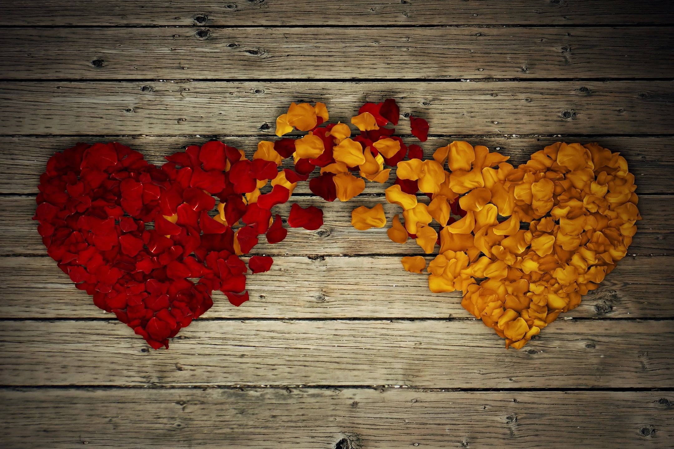 A heart made of red rose petals merges with a heart made of orange rose petals. The imperfect hearts joining together challenge the viewer to bust myths about relationships about people with IDD.